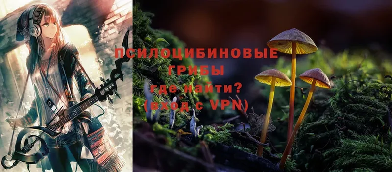 Псилоцибиновые грибы Psilocybe  Орлов 